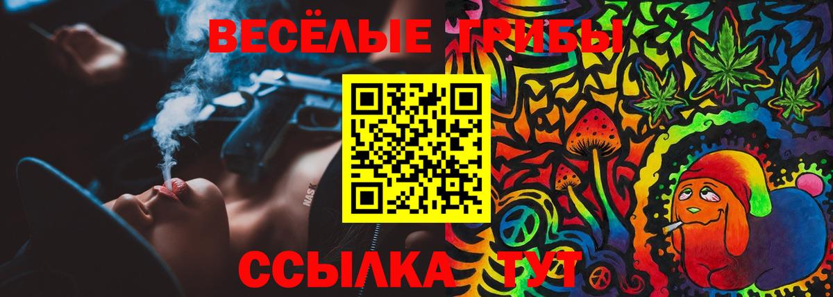 Камышин  Псилоцибиновые грибы Psilocybine cubensis  наркошоп  Вход с VPN 